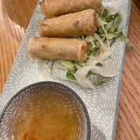 Spring rolls with tofu  at vEATnam in Villach