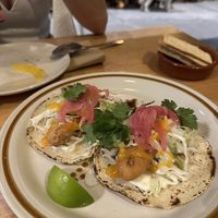   at El Planta in South Brisbane