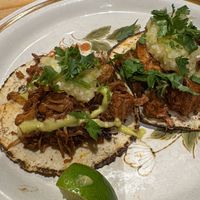   at El Planta in South Brisbane