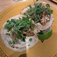  at El Planta in South Brisbane