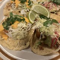   at El Planta in South Brisbane