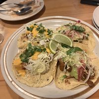   at El Planta in South Brisbane