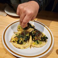 Zucchini tacos at El Planta in South Brisbane