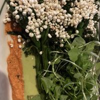   at El Planta in South Brisbane