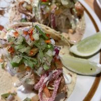   at El Planta in South Brisbane