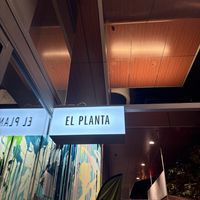   at El Planta in South Brisbane