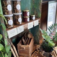   at Plants & Cakes in Frankfurt