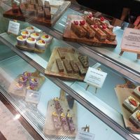  at Plants & Cakes in Frankfurt