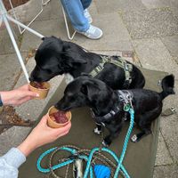   at Plants & Cakes in Frankfurt