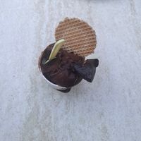   at Top Gelato in Mallorca