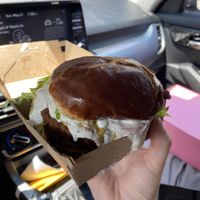   at Seitan's Realm in Columbus