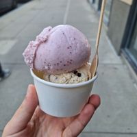  at FoMu - Brookline Ave in Boston