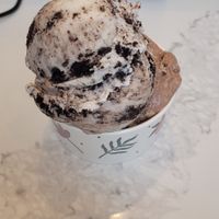  at FoMu - Brookline Ave in Boston