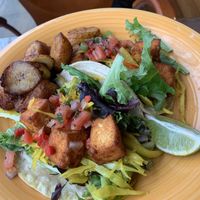 Tofu tacos  at Umana Yana in Albany