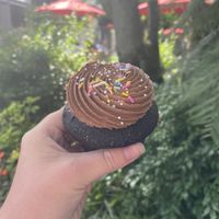 Chocolate cupcake (vegan) at Trophy Cupcakes & Party in Seattle