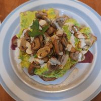 Avo Mushroom at The Source Cafe in Siem Reap