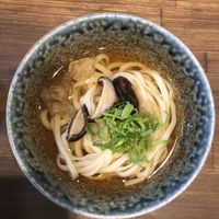 Cold Udon at Menkui Kinya in Kyoto