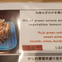 Vegetable tempura choice at Menkui Kinya in Kyoto