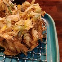 Closer look at the vegetables tempura at Menkui Kinya in Kyoto