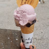 Fererro on the bottom, Izabella on top at Mali Čoko in Slovenske Konjice