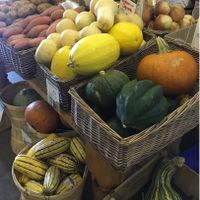 Some of the produce (fall season) at Blue Water Natural Foods in Alpine