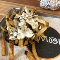 Truffle Aïoli fries— highlight of my meal at HUMBL in Orlando