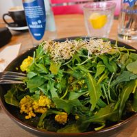 Avocado Toast at Liebling Trier in Trier