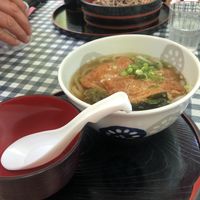 Udon with tofu at Momiji-so in Hatsukaichi