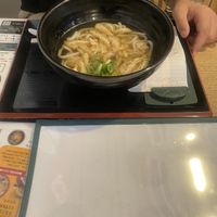 Regular udon   at Mimikou in Hiroshima