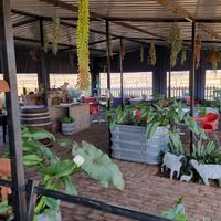  at Ashers Farm Sanctuary in Pretoria