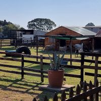  at Ashers Farm Sanctuary in Pretoria