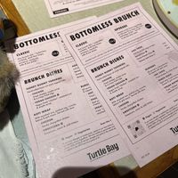   at Turtle Bay in Cardiff