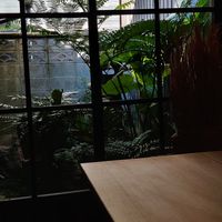 View at Hale in Kyoto