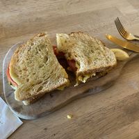   at The Modern Rose in Deerfield Beach