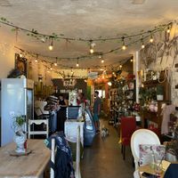   at The Modern Rose in Deerfield Beach