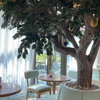   at The Orangery in Manama