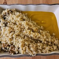  at 3 4 4 in Alicante