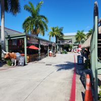  at Yellow Green Farmers Market in Hollywood