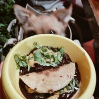 Vegan dog tacos in a doggy bowl 🐾 #Veganuary at Sugar Taco in Los Angeles