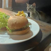 Bean burger - simple but nice   at Cafe Zen in Negombo