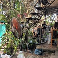  at Cafe Zen in Negombo