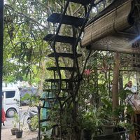 Main road  at Cafe Zen in Negombo