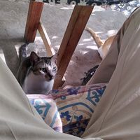  at Cafe Zen in Negombo