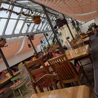 Nice indoor seating options in a greenhouse at Slottsträdgårdens Kafé in Malmo