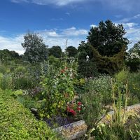 Gardens   at Slottsträdgårdens Kafé in Malmo