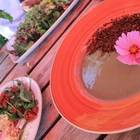 Two vegan dishes and vegetarian pie at Slottsträdgårdens Kafé in Malmo