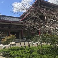Temple complex the cafe is located at  at Water Drop Vege Cafe at Fo Guang Shan Temple in Auckland