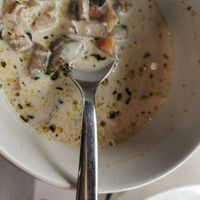  at Satsanga in Sofia