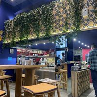   at Satsanga in Sofia