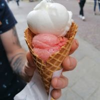 Lemon and agrum-cactus-ginger at Captain'ice in Saint-malo